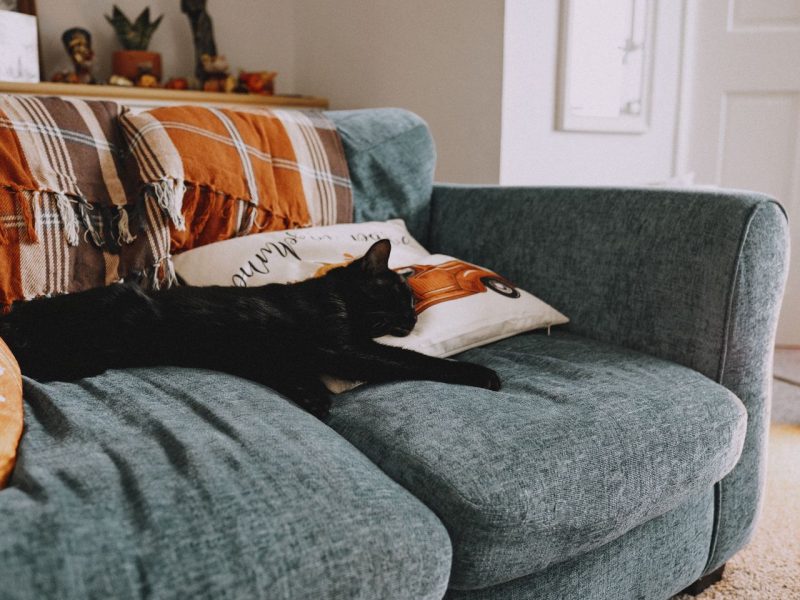 Wygodna sofa z funkcją spania codziennego – na jaki system rozkładania, stelaż oraz rodzaj sprężyn zwrócić uwagę przed jej zakupem?